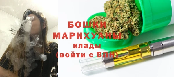 гидропоника Бородино