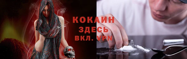 гидропоника Бородино