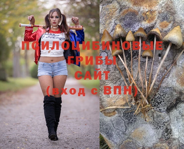 гидропоника Бородино